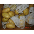 Good Quality Fresh Potato In Competitive Price